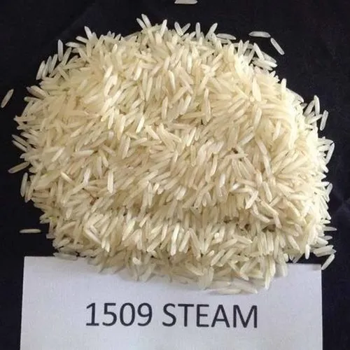 Steam 1509