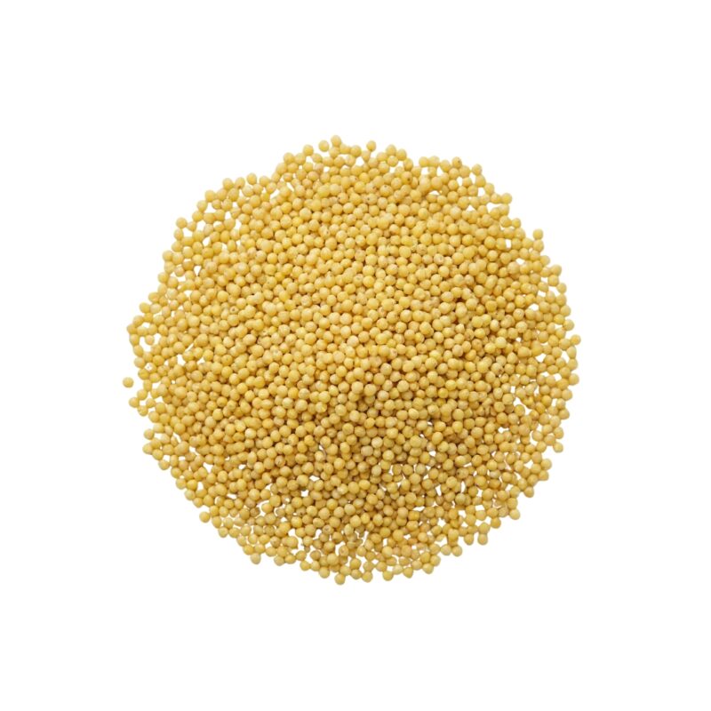 Foxtail Millet (कंगनी)